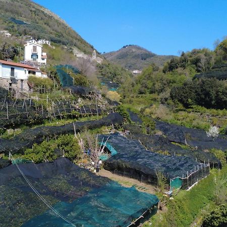 Antica Cartiera Sant'Elia Apartment Tramonti Luaran gambar