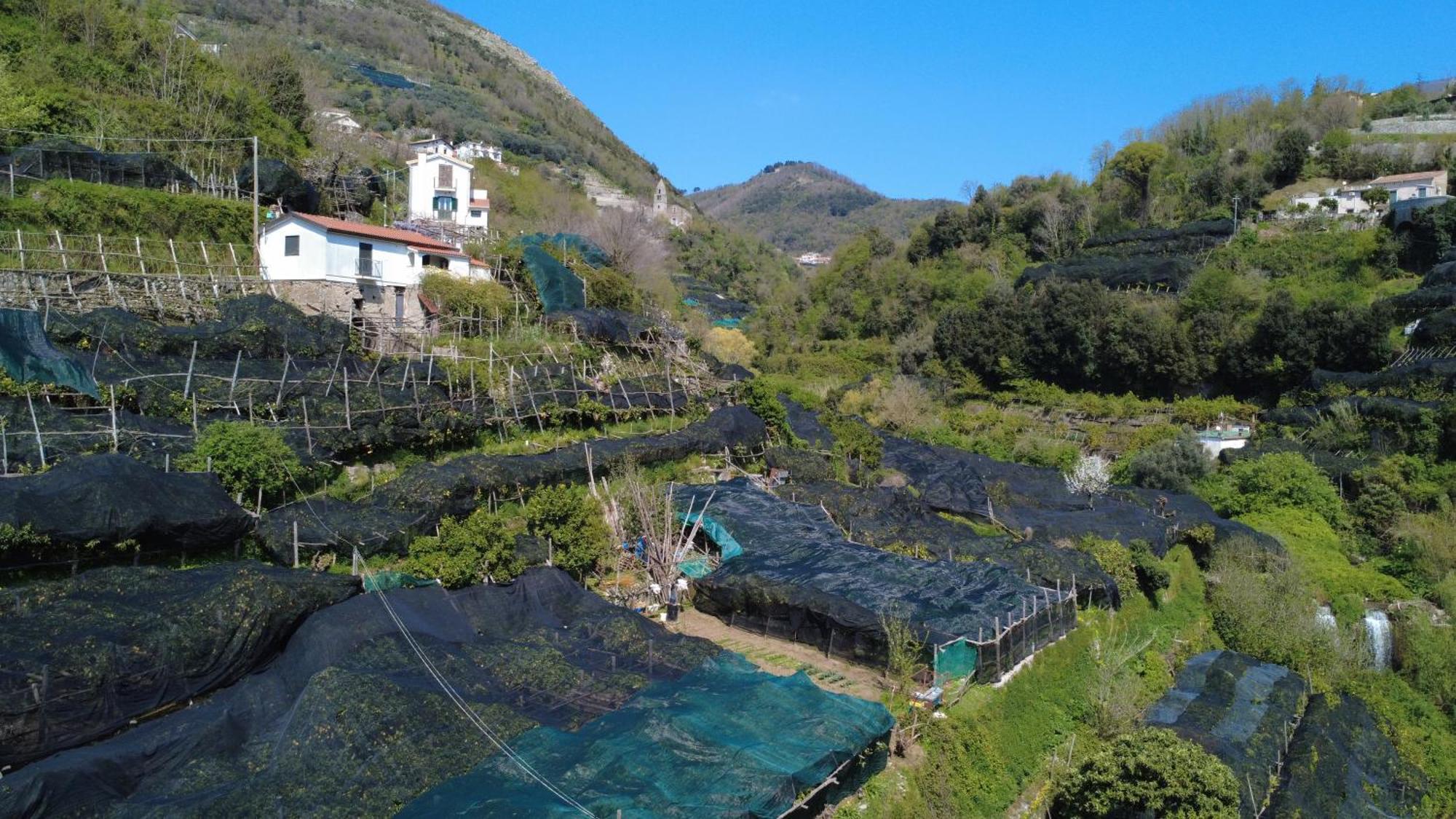Antica Cartiera Sant'Elia Apartment Tramonti Luaran gambar