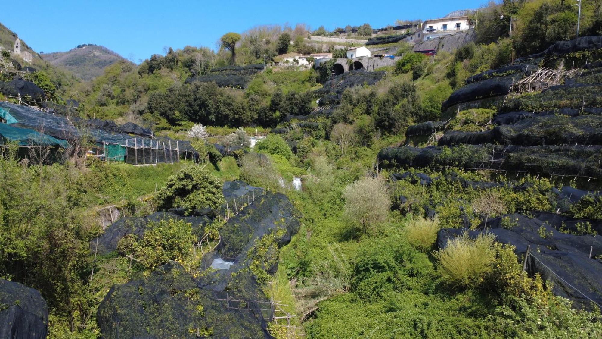 Antica Cartiera Sant'Elia Apartment Tramonti Luaran gambar